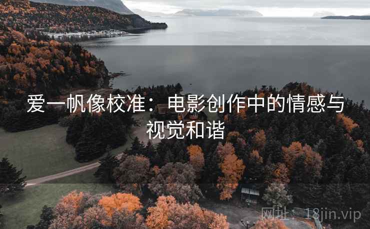 爱一帆像校准：电影创作中的情感与视觉和谐