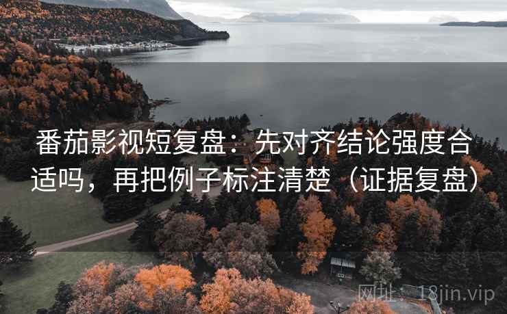 番茄影视短复盘：先对齐结论强度合适吗，再把例子标注清楚（证据复盘）